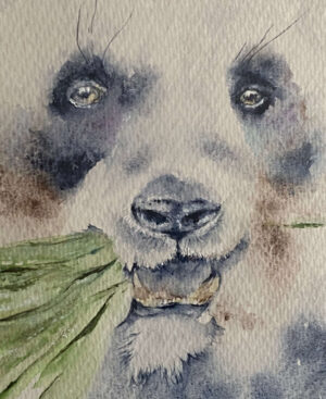 Detail Panda mit Bambus Aquarellbild 40 x 50 cm blau braun grün Petra Wetzig Künstlerin