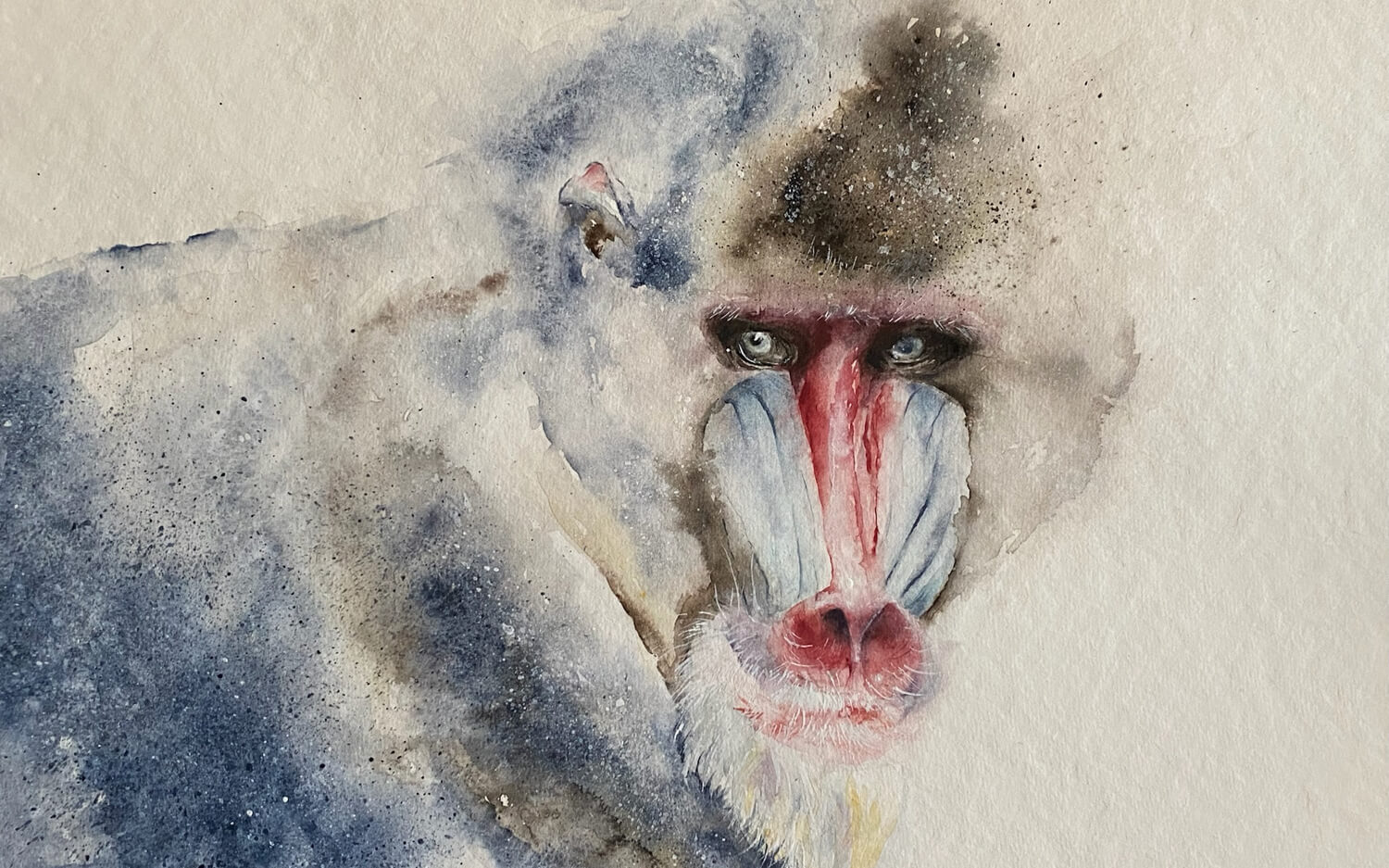 Modern interpretiertes Aquarellbild eines Mandrill-Affen mit ausdrucksstarken, leuchtenden Augen – naturverbundene Tierkunst von Petra Wetzig