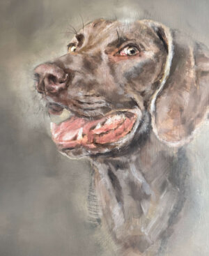 Perfekt als Geschenk für Tierliebhaber:innen