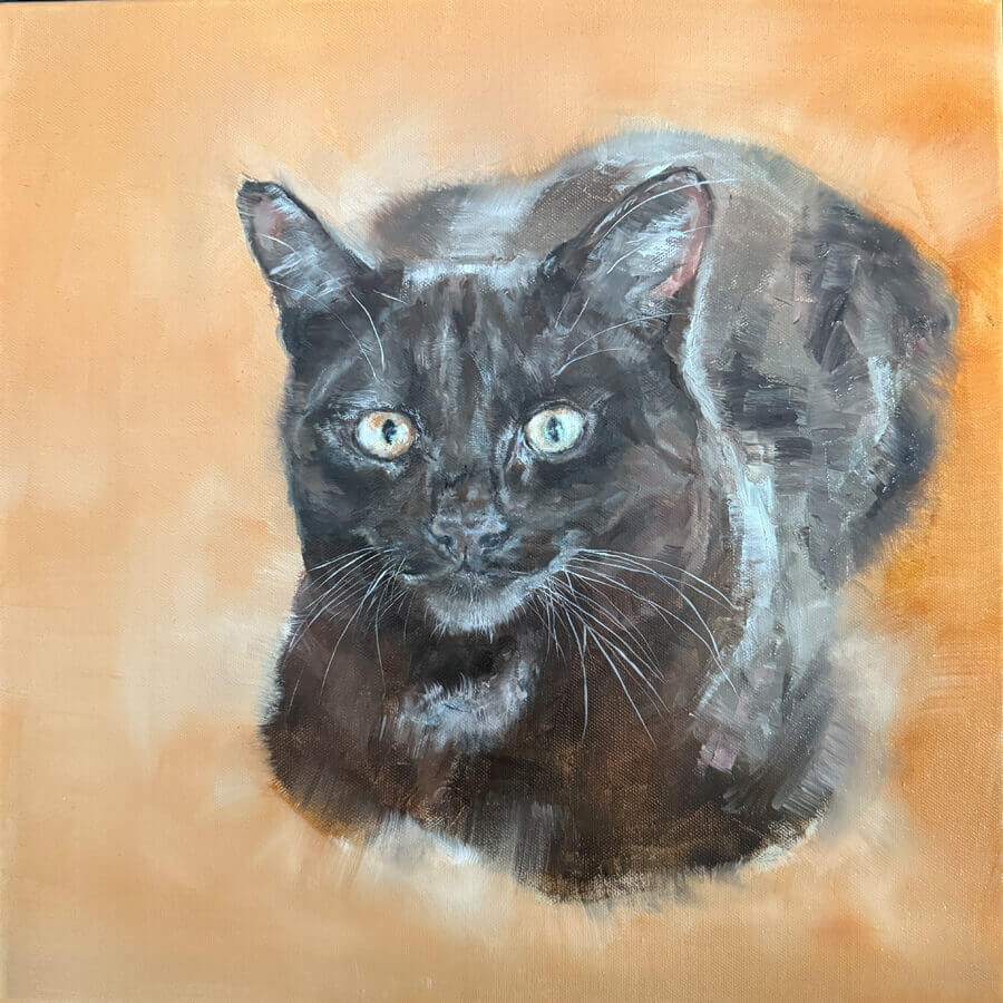 Ölgemälde einer schwarzen Katze - Künstlerin Petra Wetzig