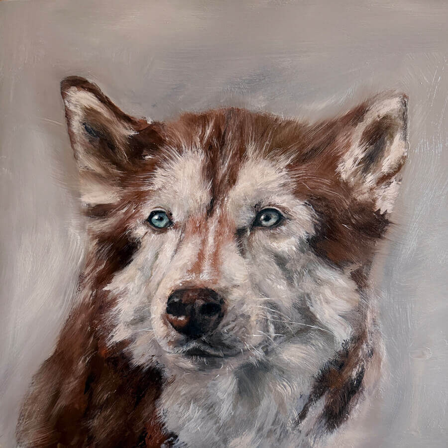 Tierportrait in Öl malen lassen - Husky - Künstlerin Petra Wetzig