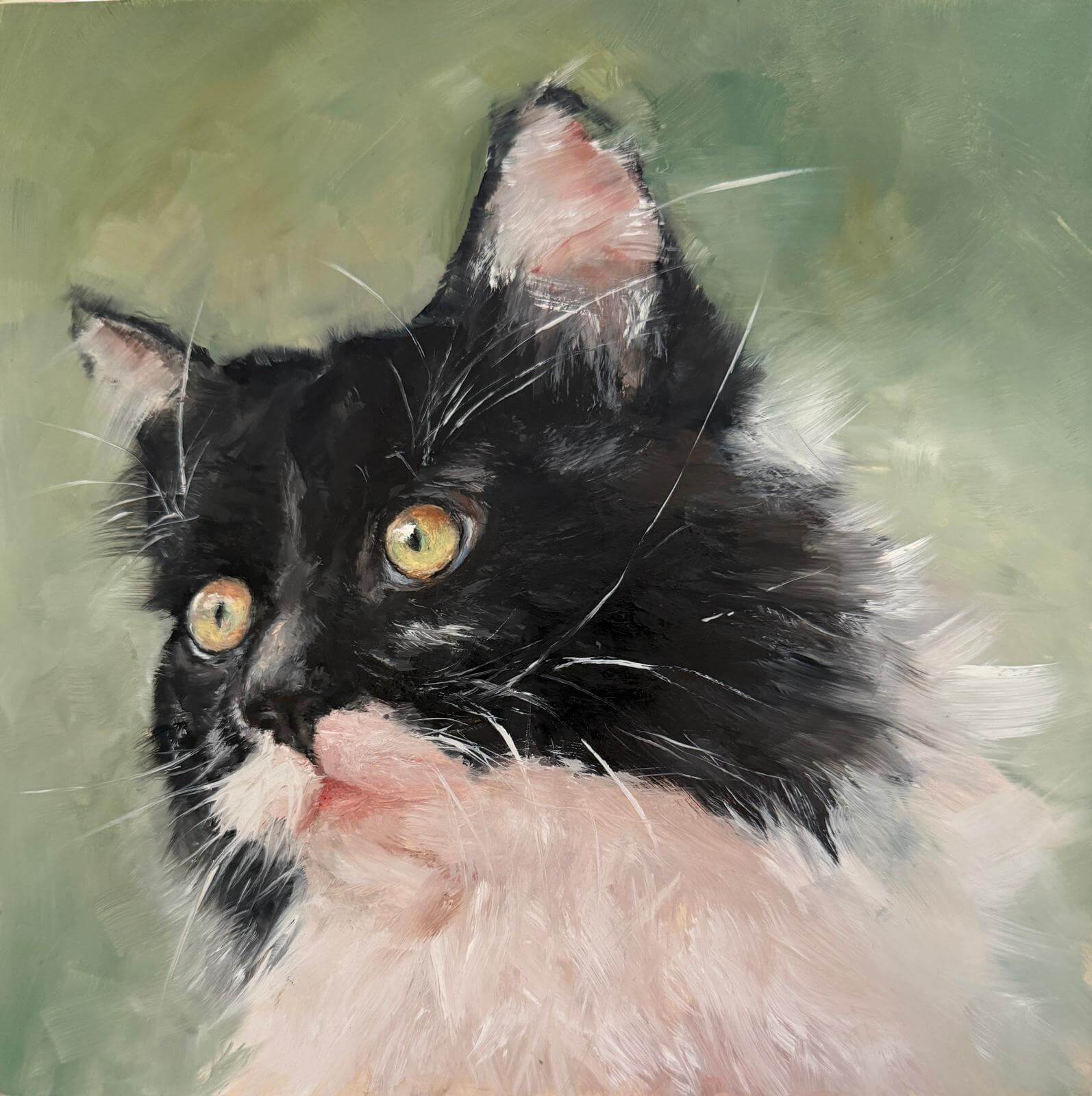Ölgemälde einer schwarz-weißen Katze vor grünem Hintergrund - Beispiel für die Farbkomplexität in Petras Katzenportraits