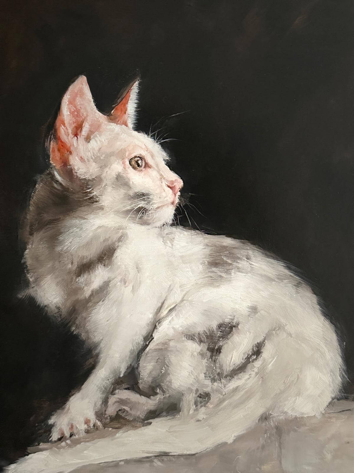 Ölgemälde einer weißen Katze mit dunklem Hintergrund - die gebannte Katze, von der Petra Wetzig im Beitrag erzählt